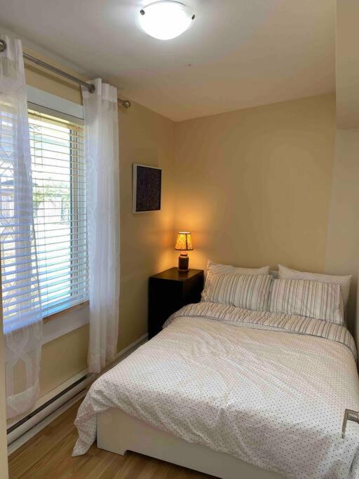 Adorable 2-Bedroom Guesthouse With Free Parking فكتوريا المظهر الخارجي الصورة